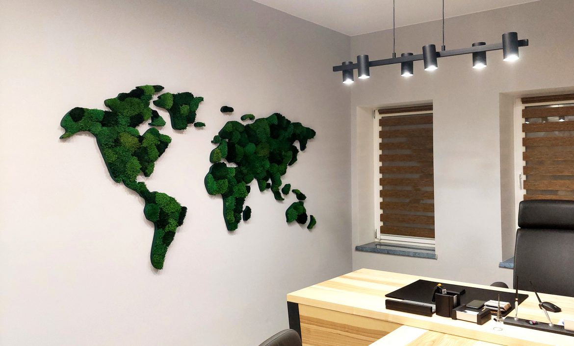 Карта світу з моху у кабінеті фото