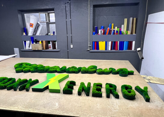 Буквы из мха на заказ фото