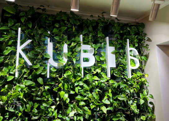 Kubis