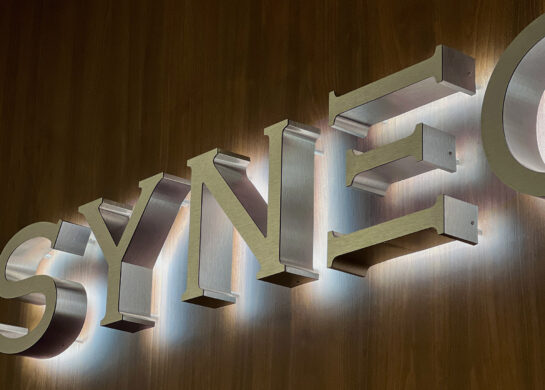 Synegor, адвокатское объединение