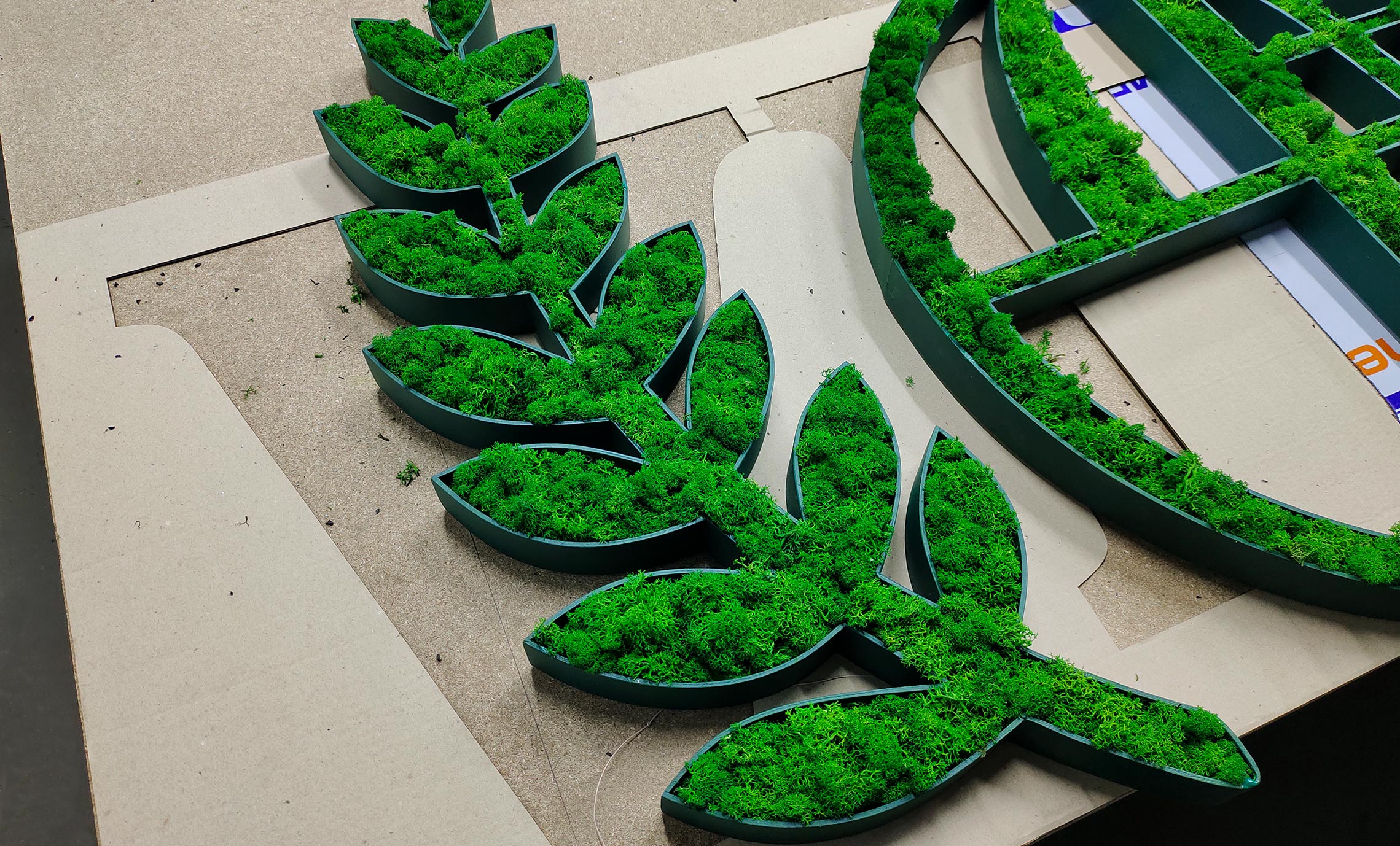 Стабілізований мох логотип фото