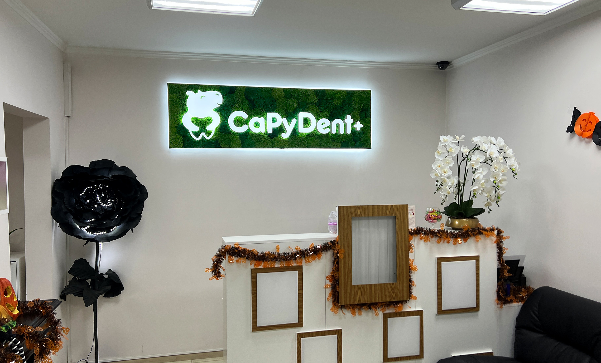 Логотип стоматологии из мха фото