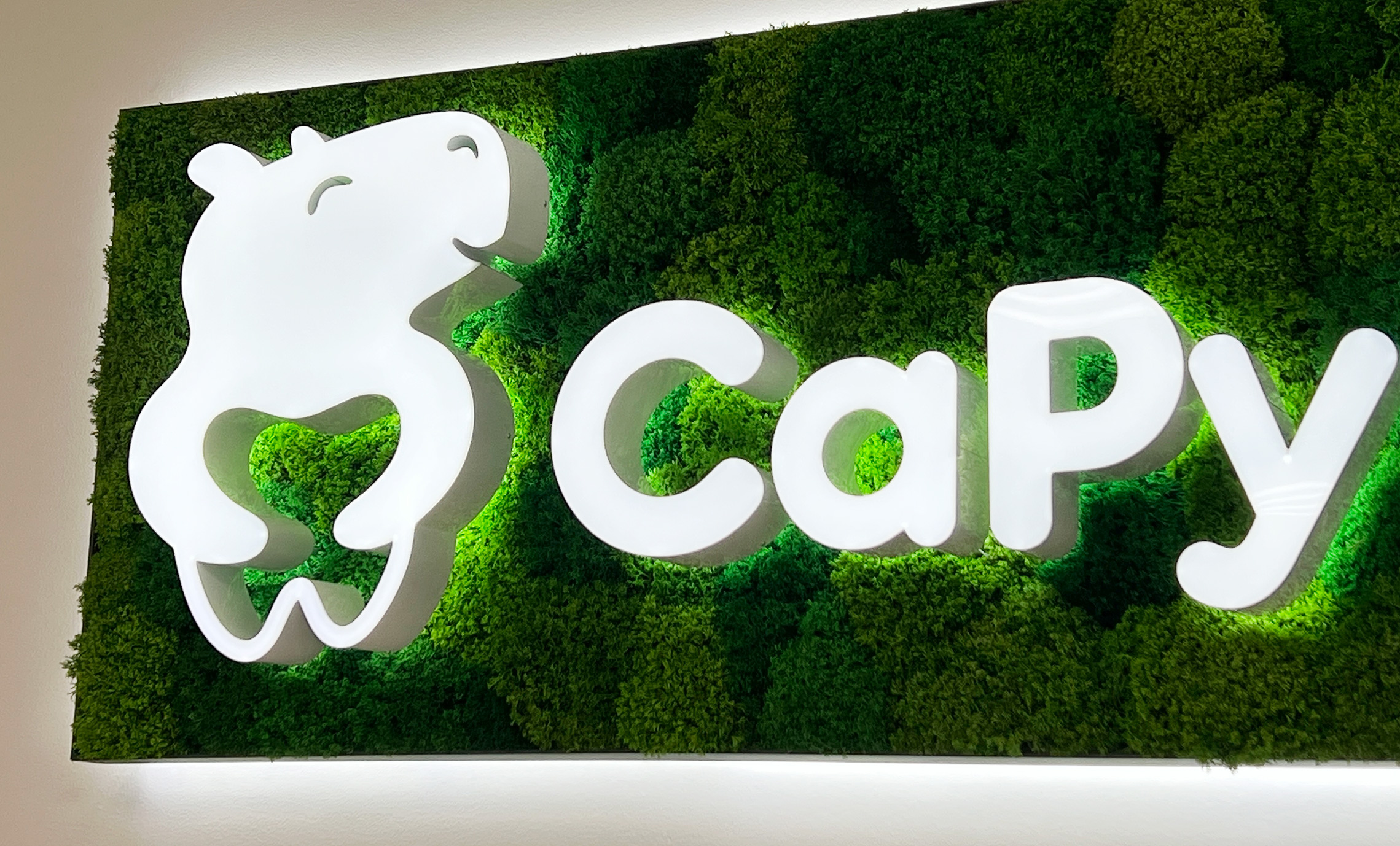 Логотип из мха для стоматлогии сподсветкой фото