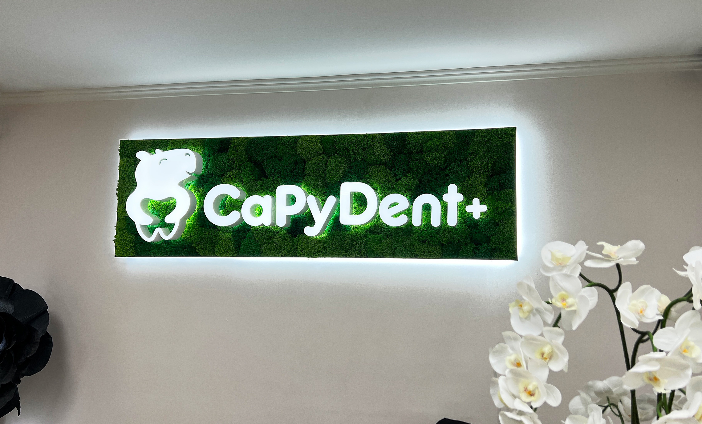 Световой логотип для стоматолога с мохом фото