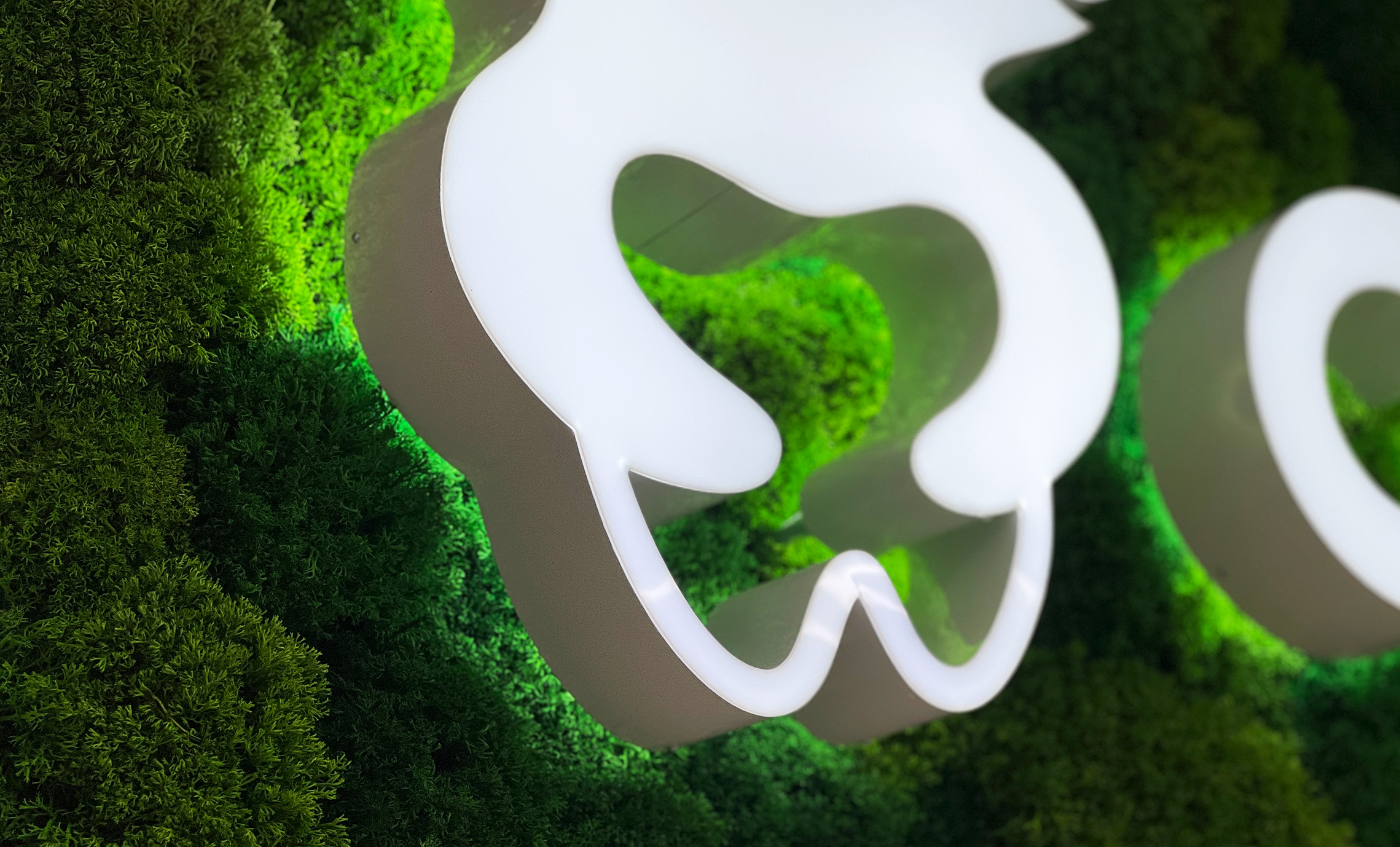 Световые буквы на мхе фото